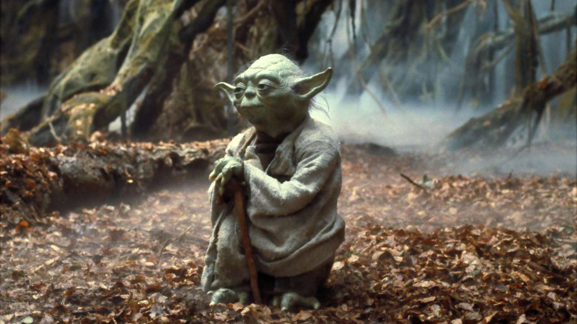 Master Yoda